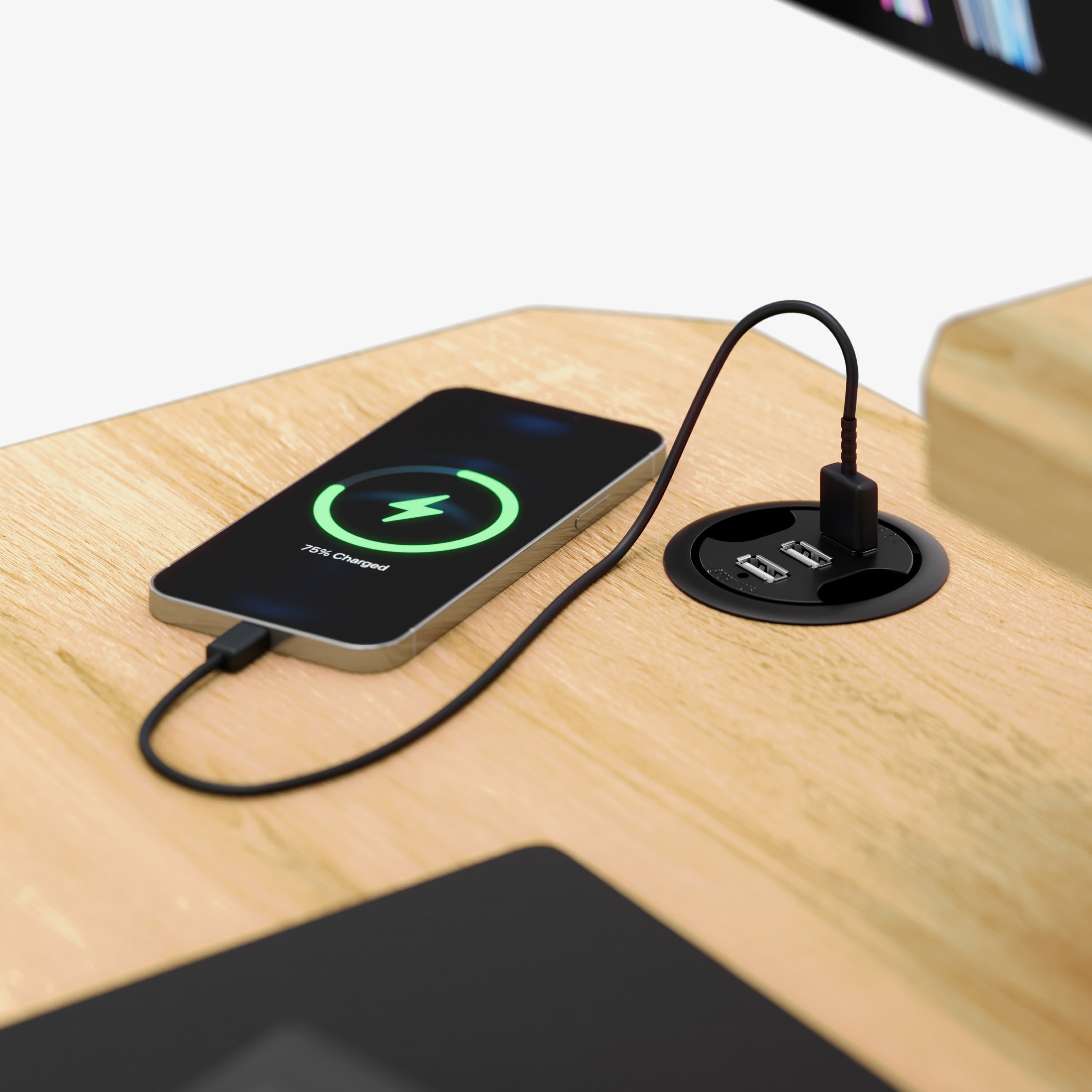 Integruotas USB įkroviklis