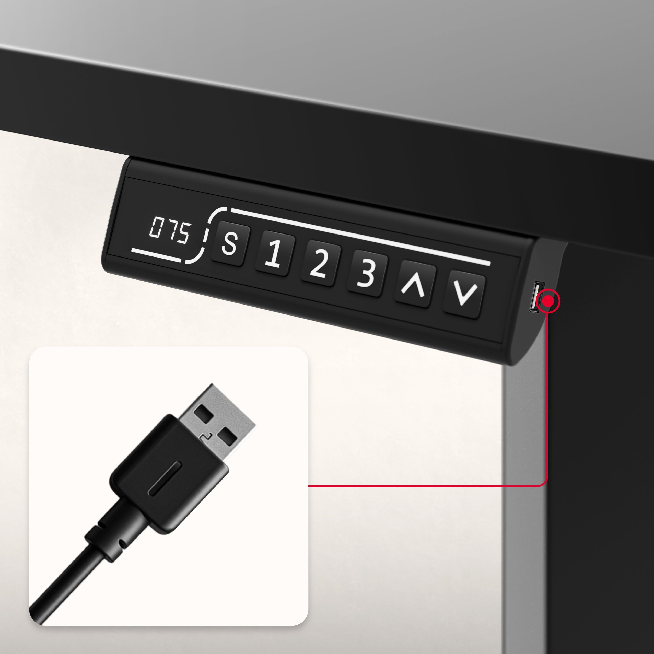USB lizdas ir C įvestis