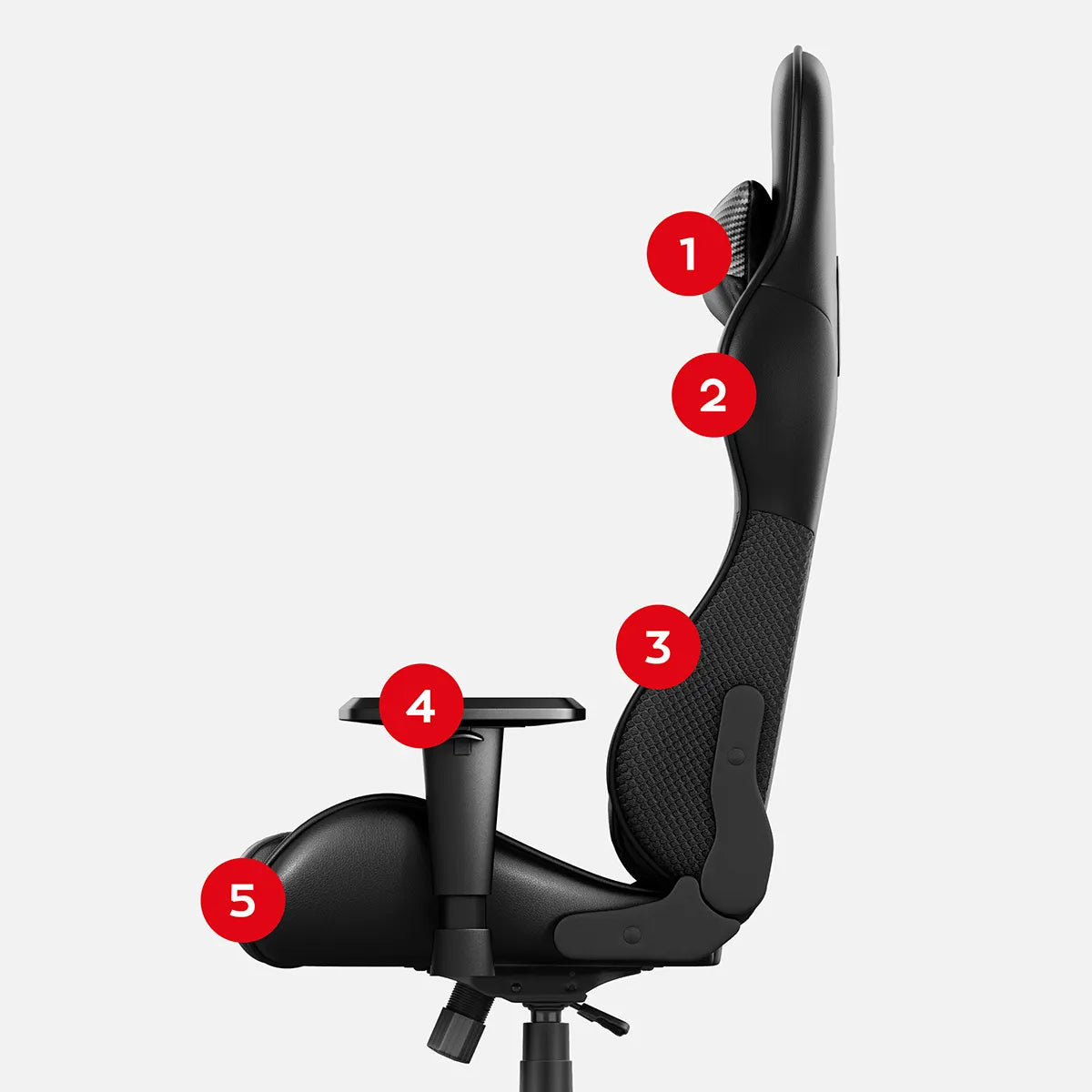 1. galva ir kaklas