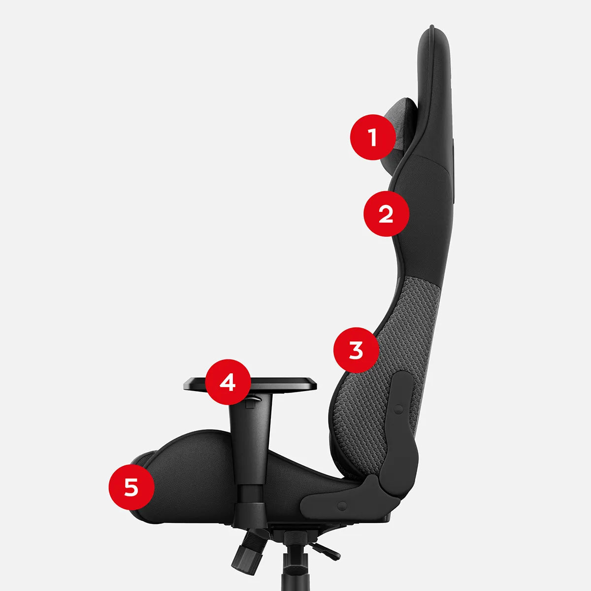 1. galva ir kaklas